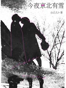 今夜京北有雪同类小说